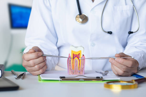 Best Emergency Treatment for Toothache in Yardville, NJ